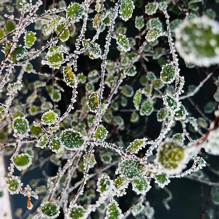 Am Sandwater アパート *