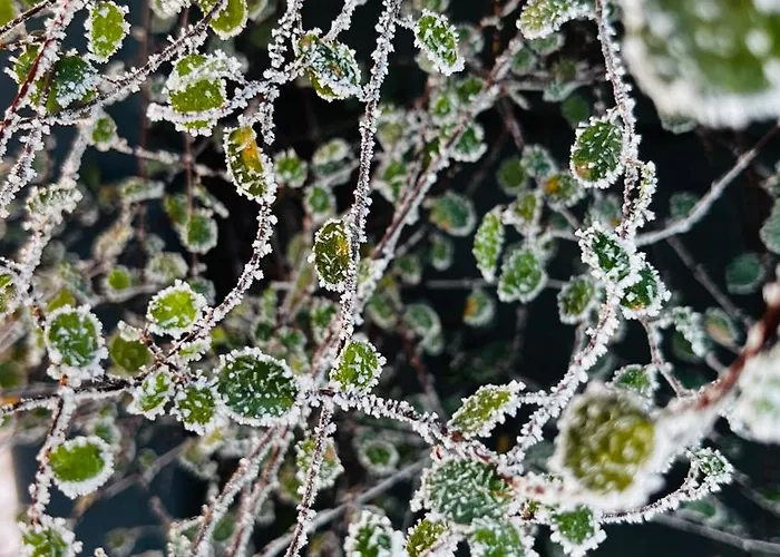 Am Sandwater Διαμέρισμα *